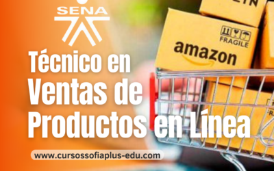 Técnico en Ventas de Productos en Línea.